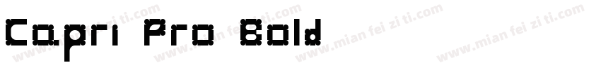 Capri Pro Bold字体转换
